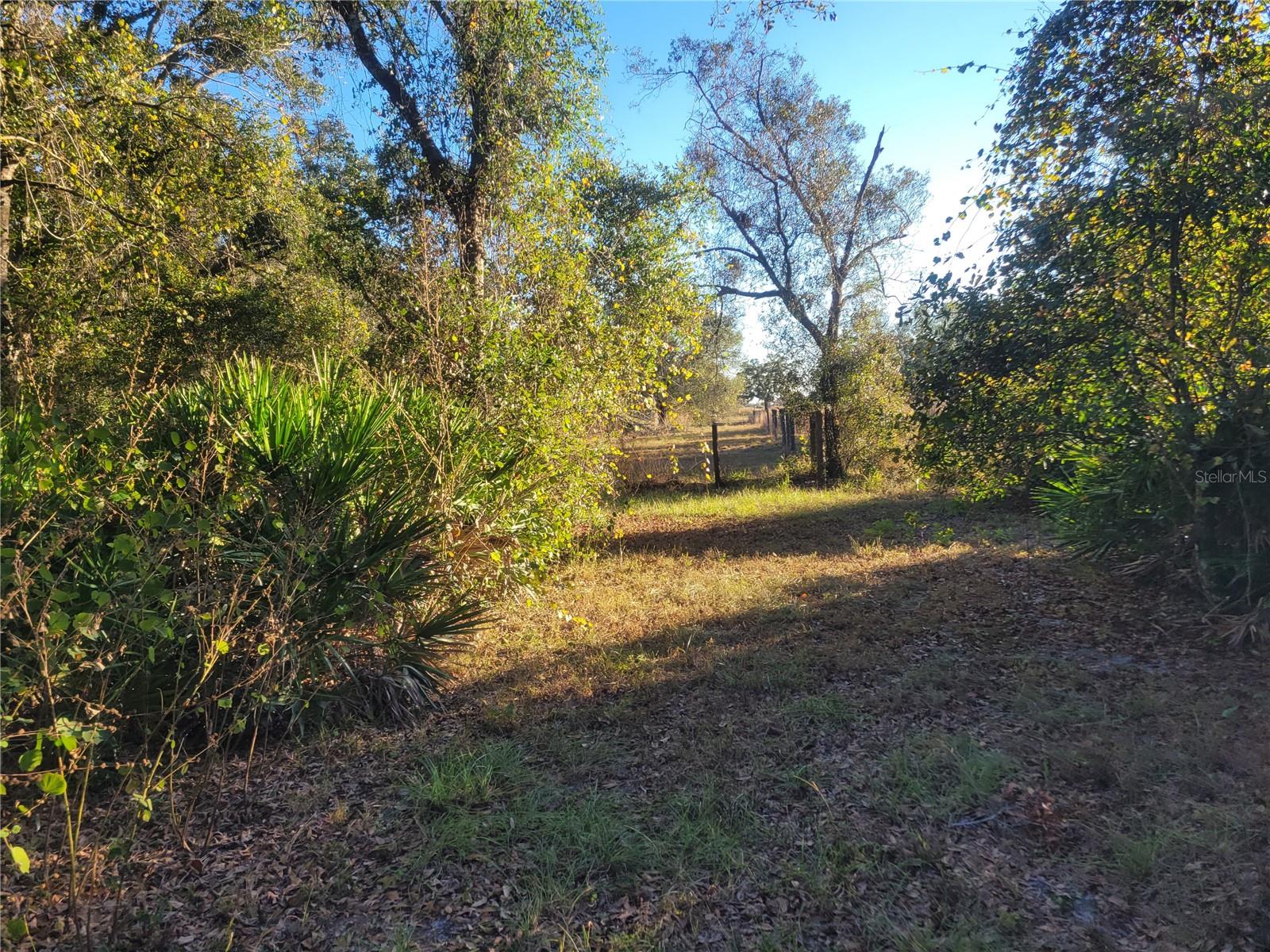 7283 SW ENVIRONMENTAL LAB ST, ARCADIA, FL, 34266