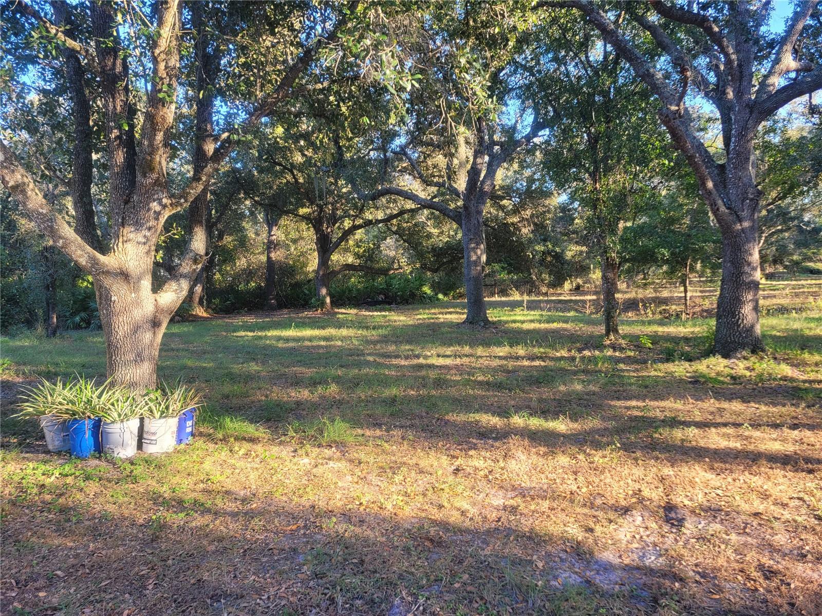 7283 SW ENVIRONMENTAL LAB ST, ARCADIA, FL, 34266