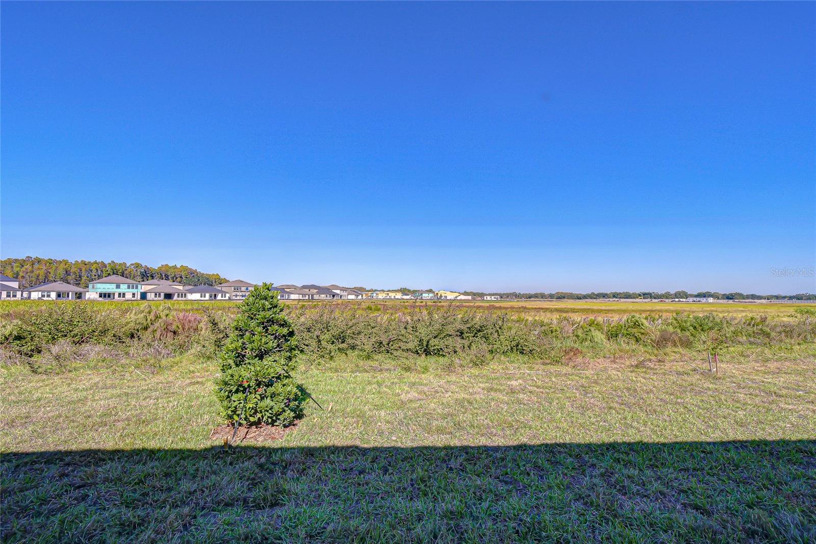 9438 GLADSOME DR, LAND O LAKES, FL, 34637