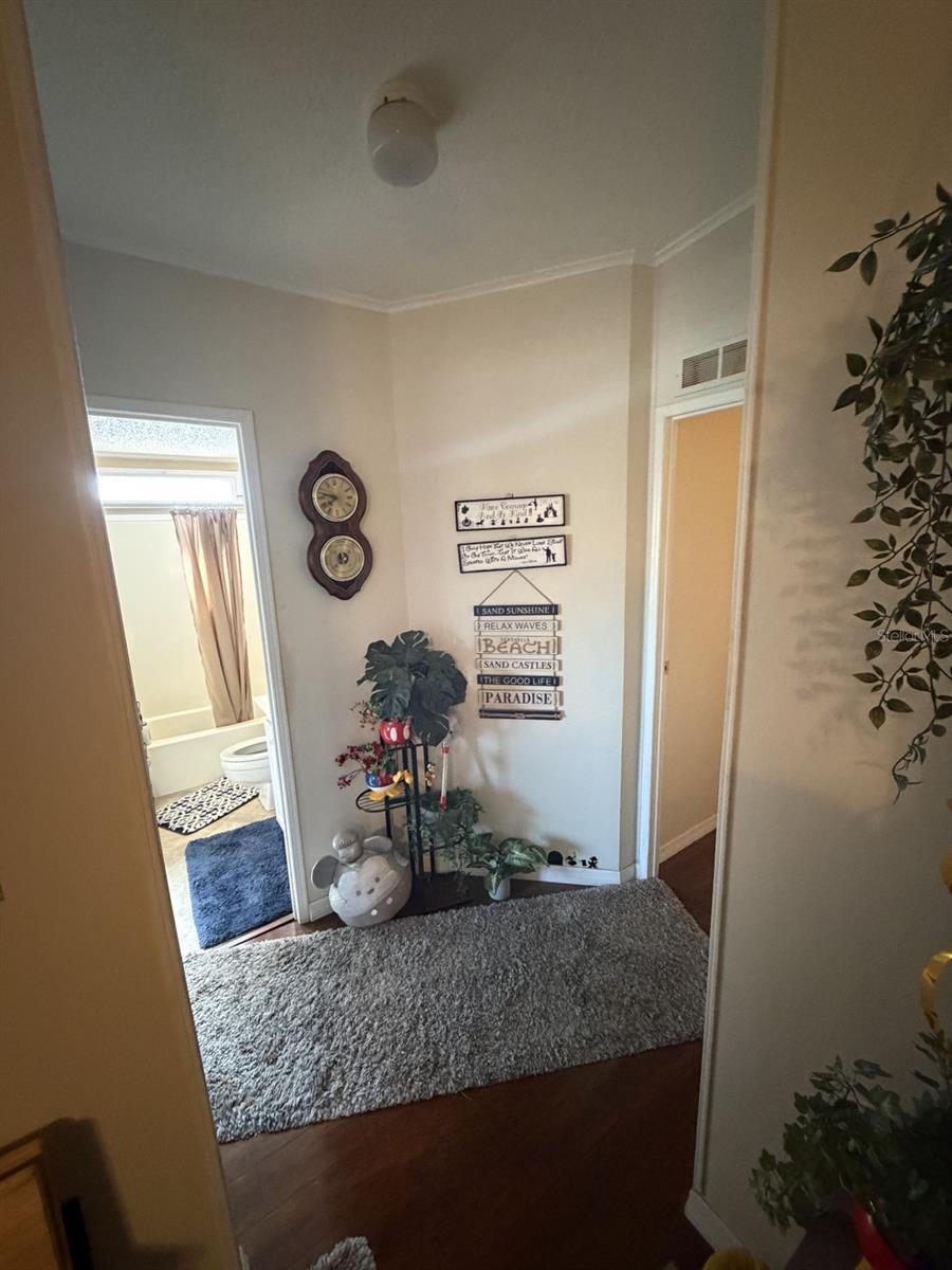 3045 SHADY CREEK DR, WESLEY CHAPEL, FL, 33543