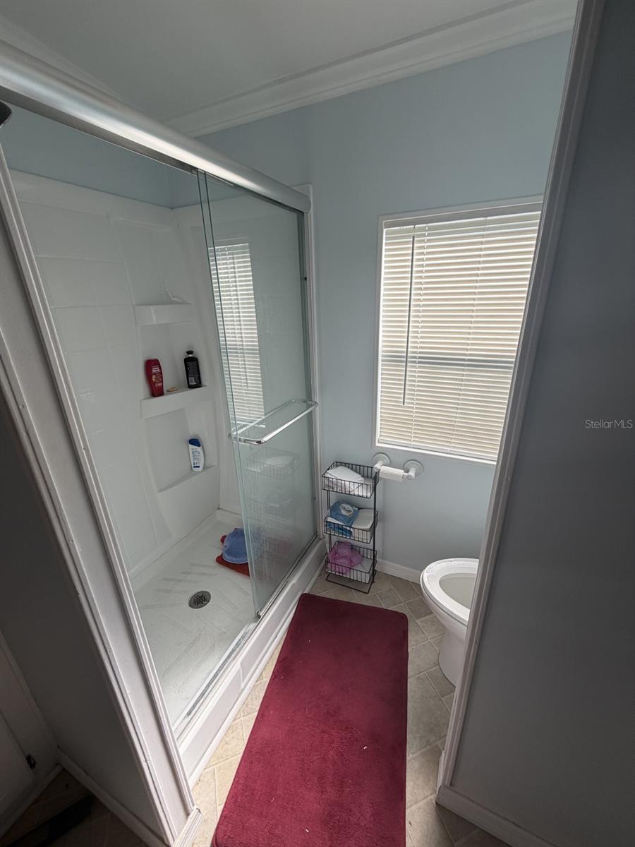 3045 SHADY CREEK DR, WESLEY CHAPEL, FL, 33543