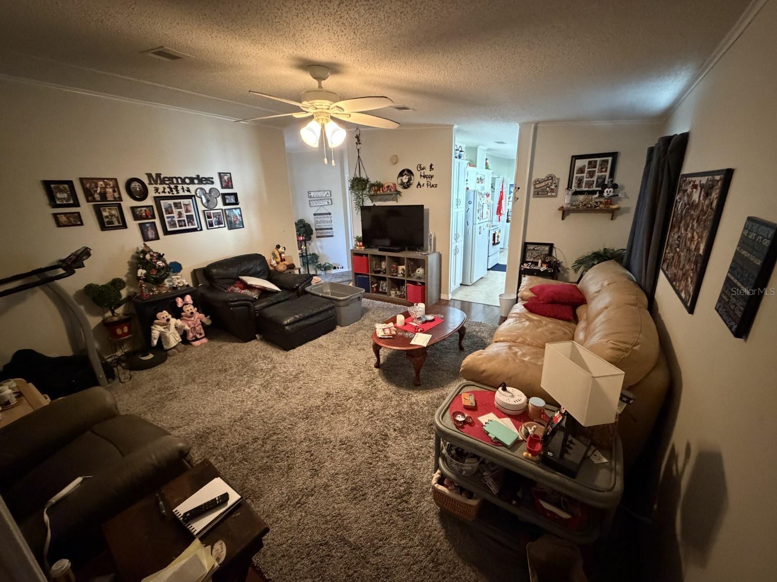 3045 SHADY CREEK DR, WESLEY CHAPEL, FL, 33543