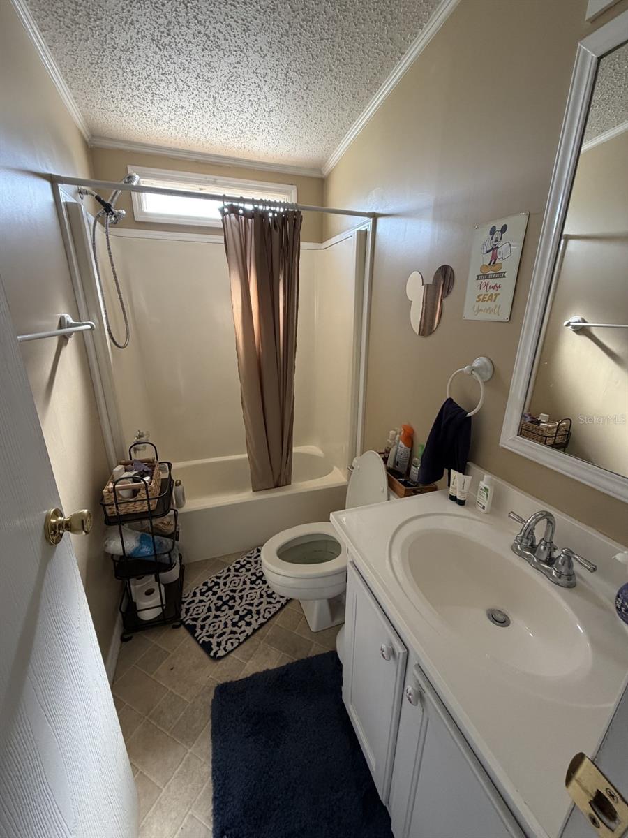 3045 SHADY CREEK DR, WESLEY CHAPEL, FL, 33543