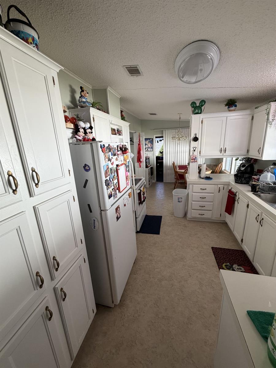 3045 SHADY CREEK DR, WESLEY CHAPEL, FL, 33543