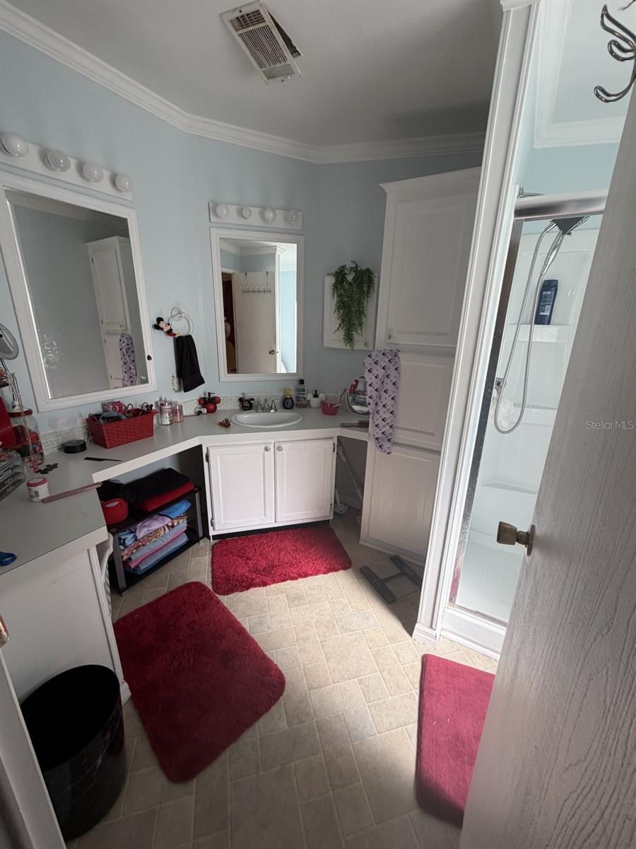 3045 SHADY CREEK DR, WESLEY CHAPEL, FL, 33543