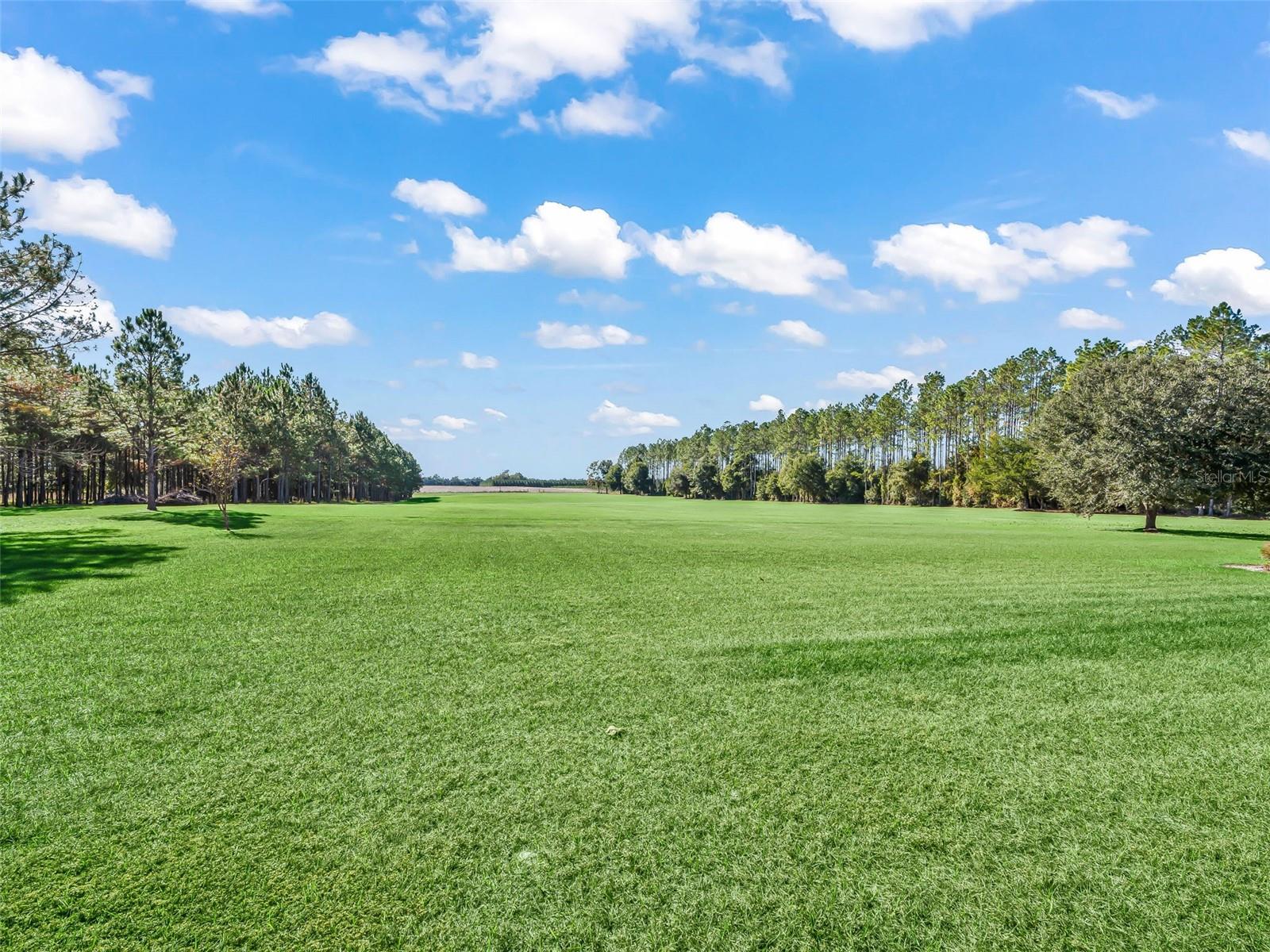 1231 NW 120TH ST, CHIEFLAND, FL, 32626