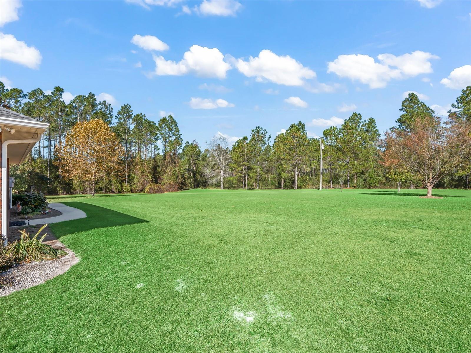 1231 NW 120TH ST, CHIEFLAND, FL, 32626