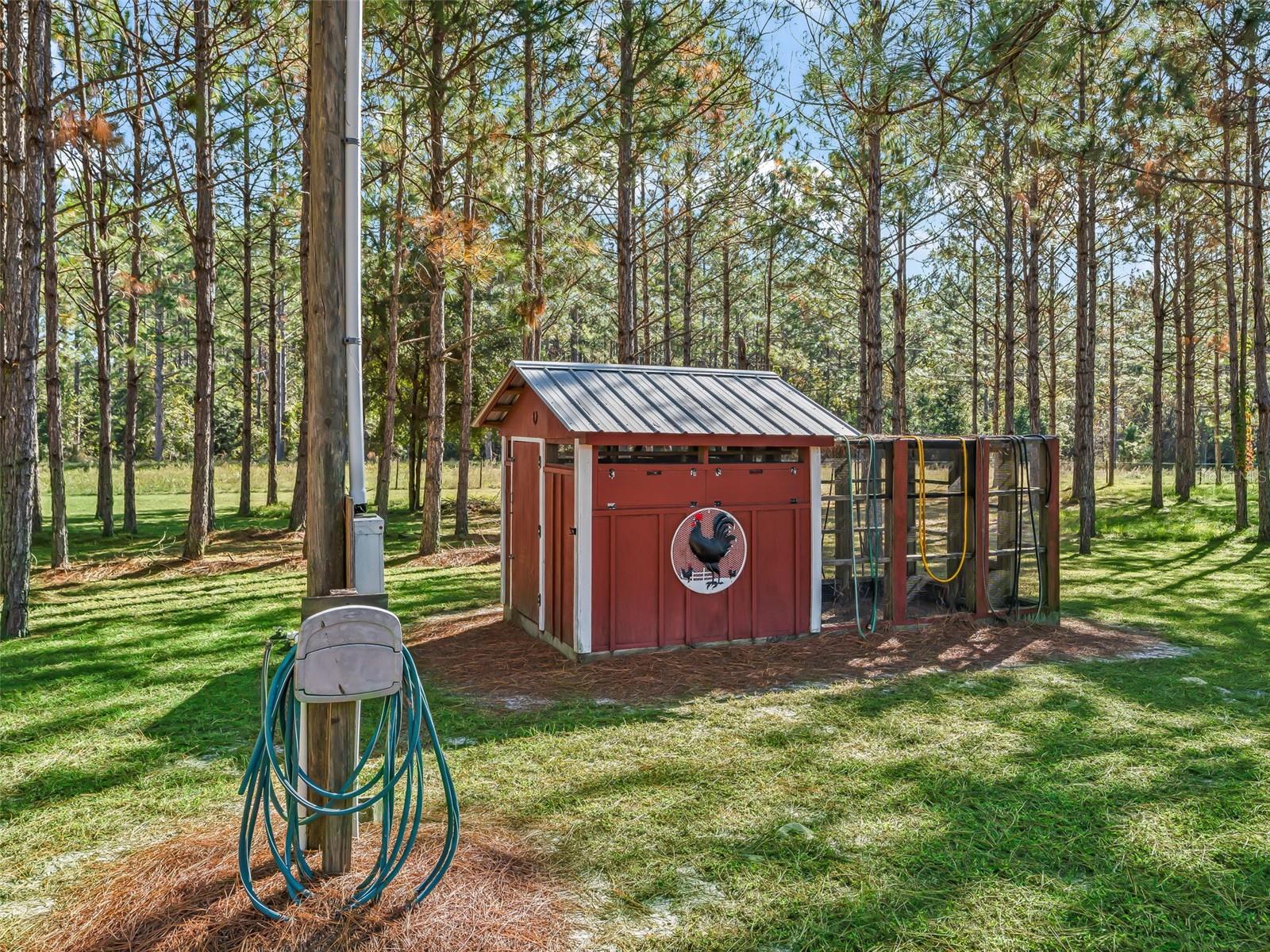 1231 NW 120TH ST, CHIEFLAND, FL, 32626