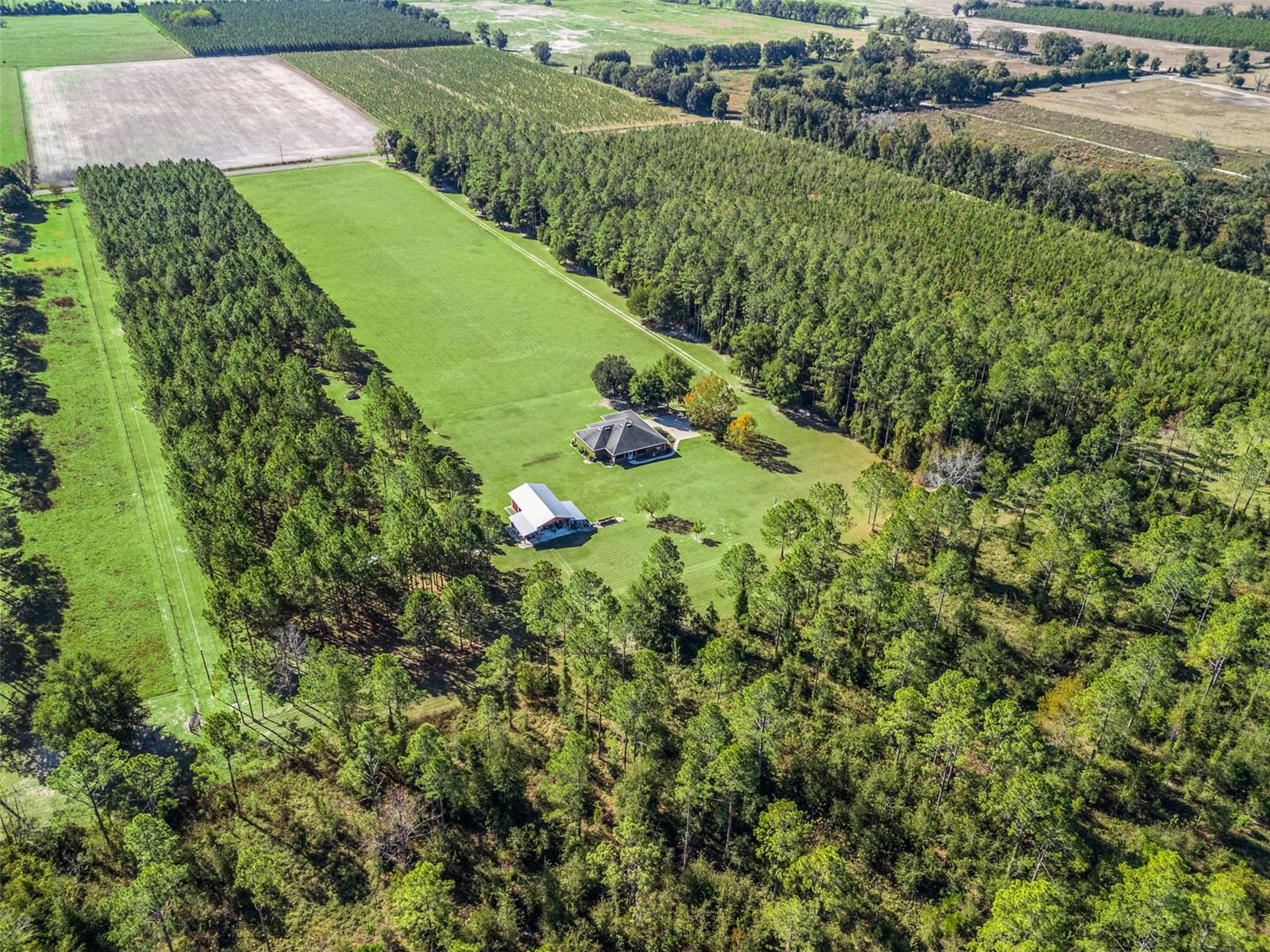 1231 NW 120TH ST, CHIEFLAND, FL, 32626