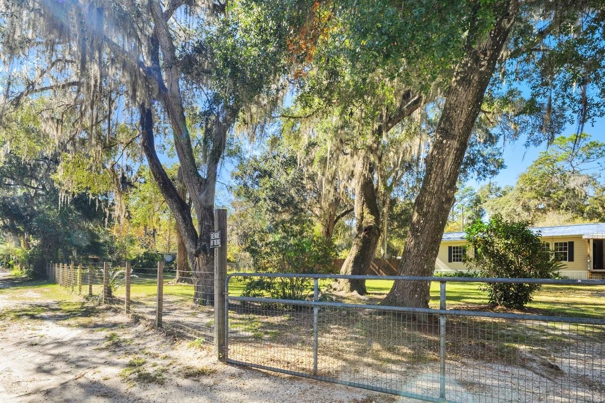 218 NE 132ND TER, GAINESVILLE, FL, 32641