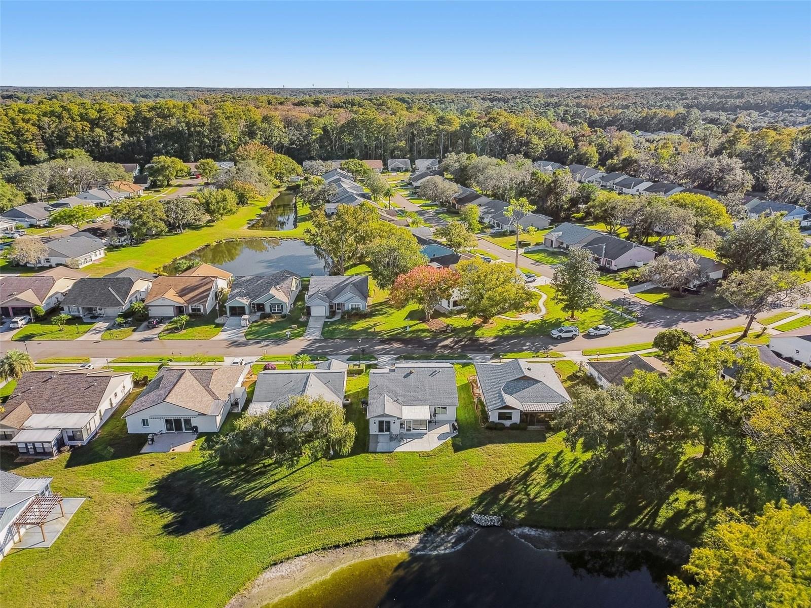 11539 SCOTCH PINE DR, NEW PORT RICHEY, FL, 34654