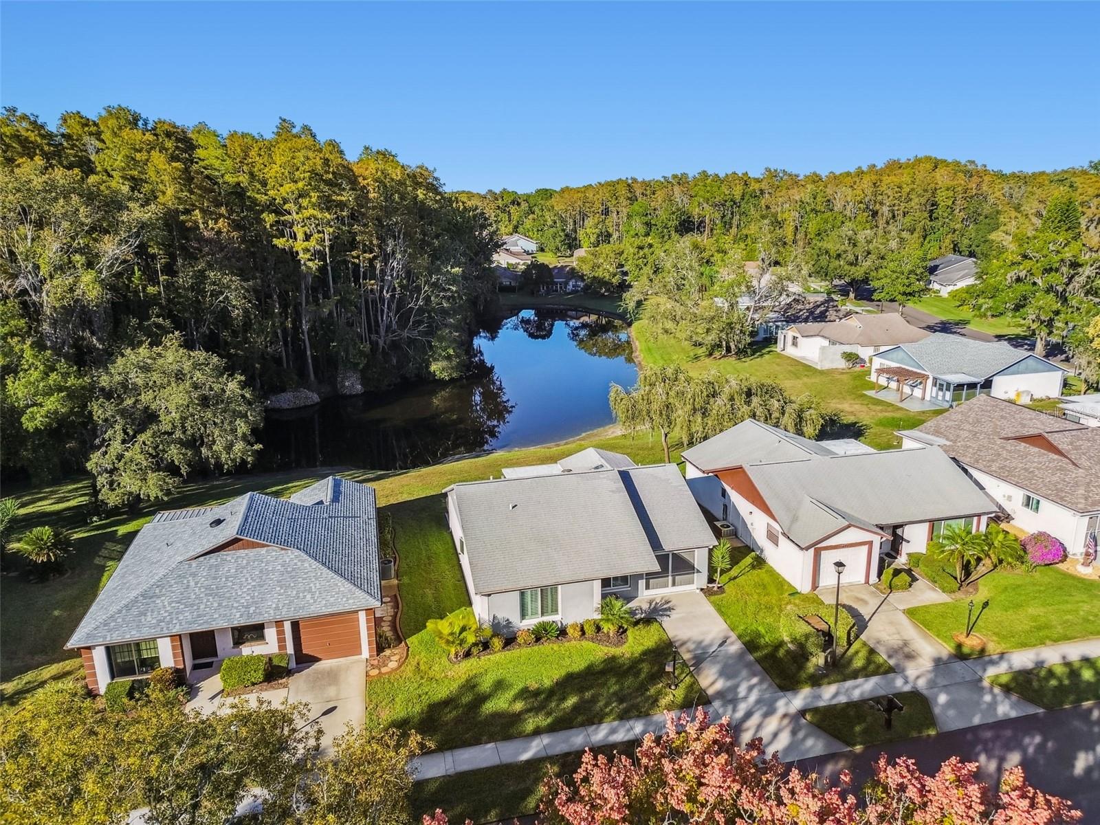 11539 SCOTCH PINE DR, NEW PORT RICHEY, FL, 34654