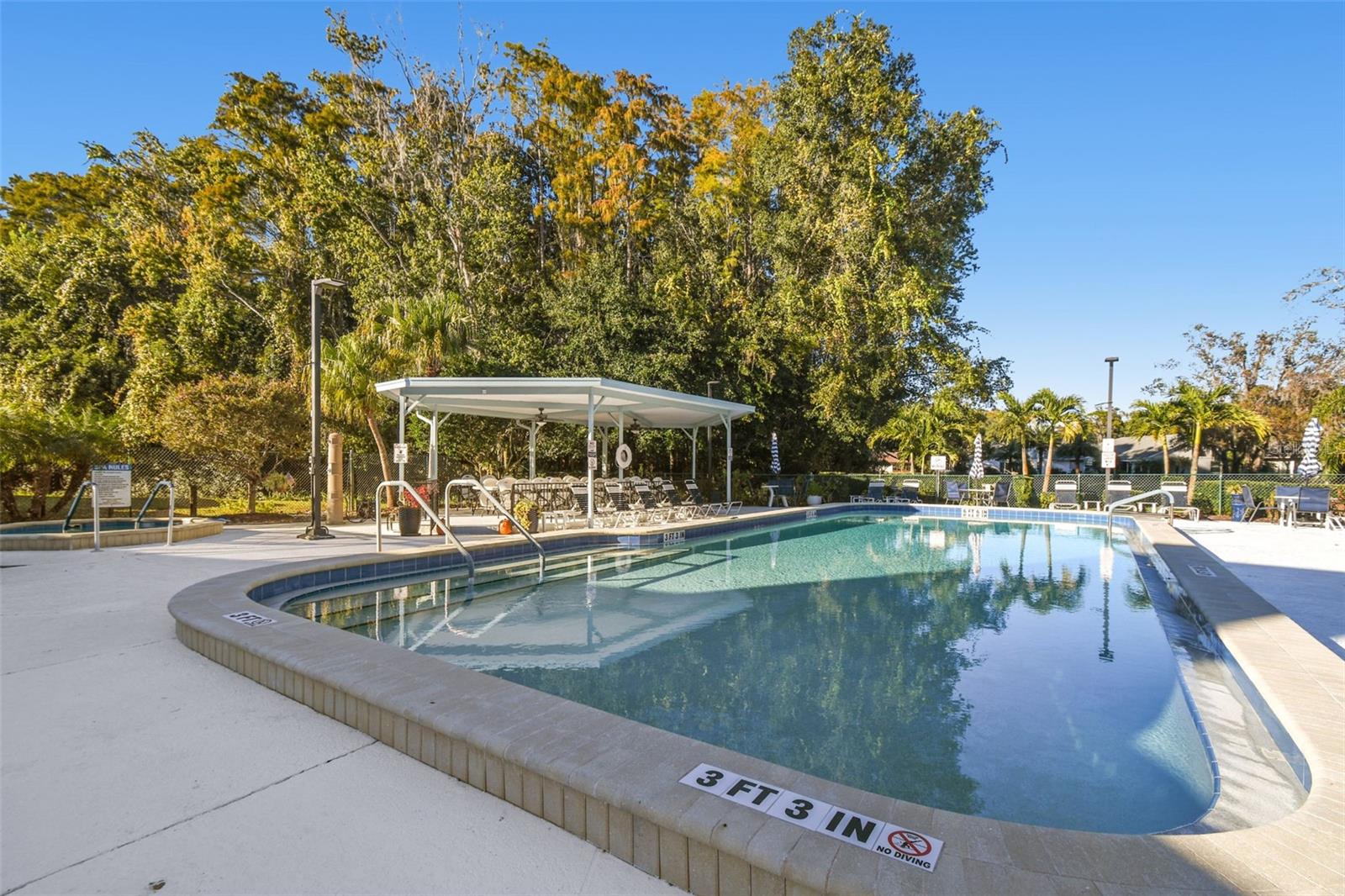 11539 SCOTCH PINE DR, NEW PORT RICHEY, FL, 34654