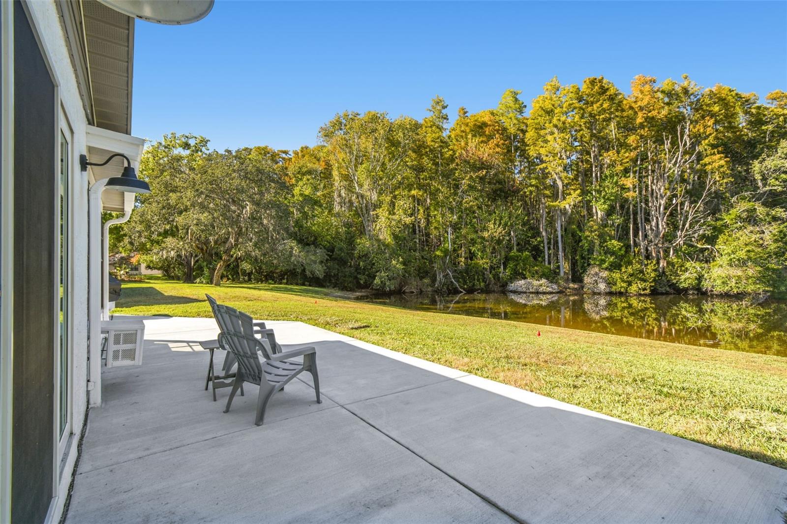 11539 SCOTCH PINE DR, NEW PORT RICHEY, FL, 34654