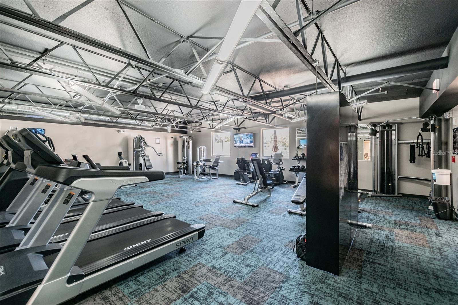 11539 SCOTCH PINE DR, NEW PORT RICHEY, FL, 34654