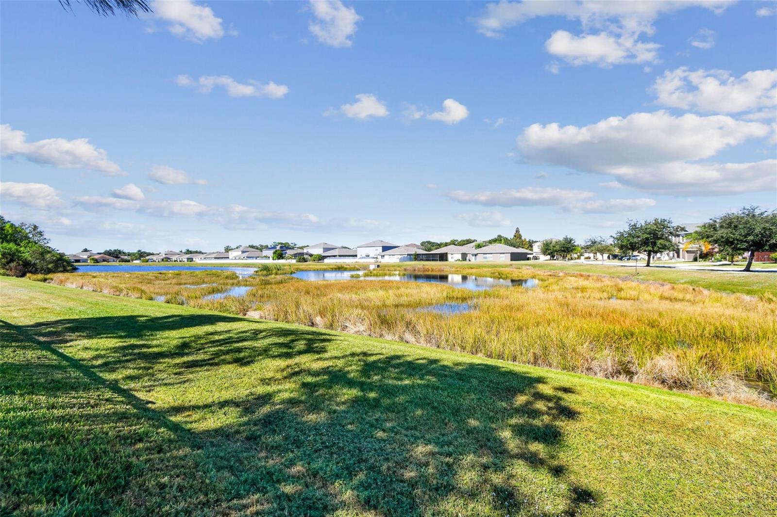 10946 RAINBOW PYRITE DR, WIMAUMA, FL, 33598