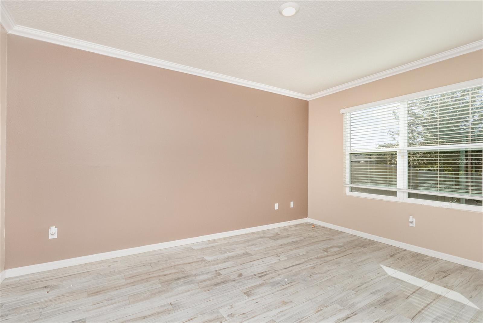 6664 CORAL BERRY DR, MOUNT DORA, FL, 32757