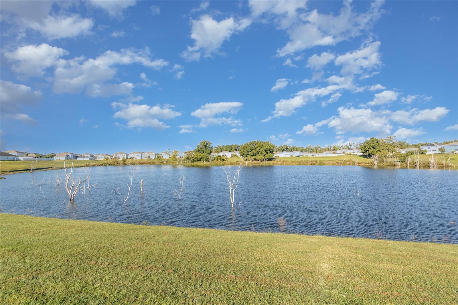 6664 CORAL BERRY DR, MOUNT DORA, FL, 32757