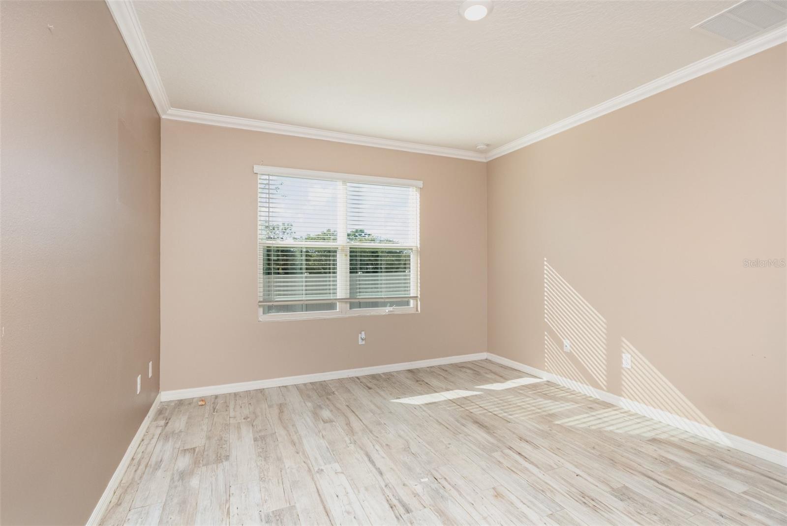 6664 CORAL BERRY DR, MOUNT DORA, FL, 32757