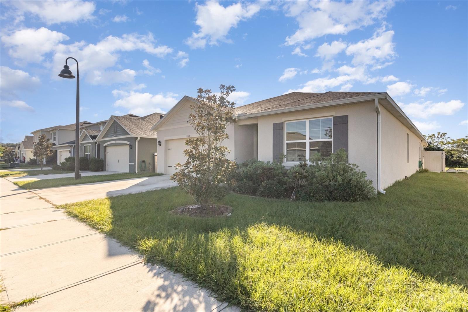 6664 CORAL BERRY DR, MOUNT DORA, FL, 32757