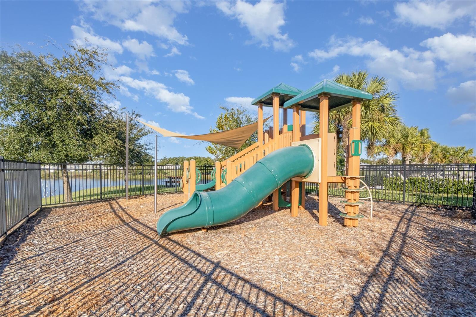 6664 CORAL BERRY DR, MOUNT DORA, FL, 32757