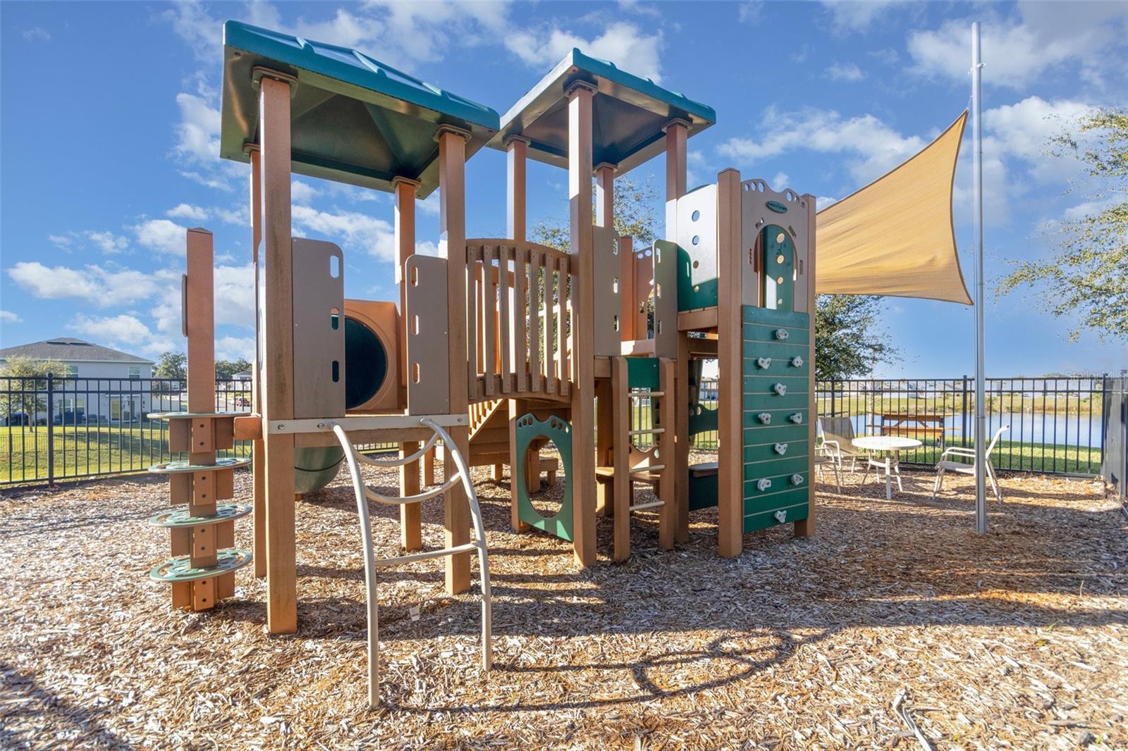 6664 CORAL BERRY DR, MOUNT DORA, FL, 32757