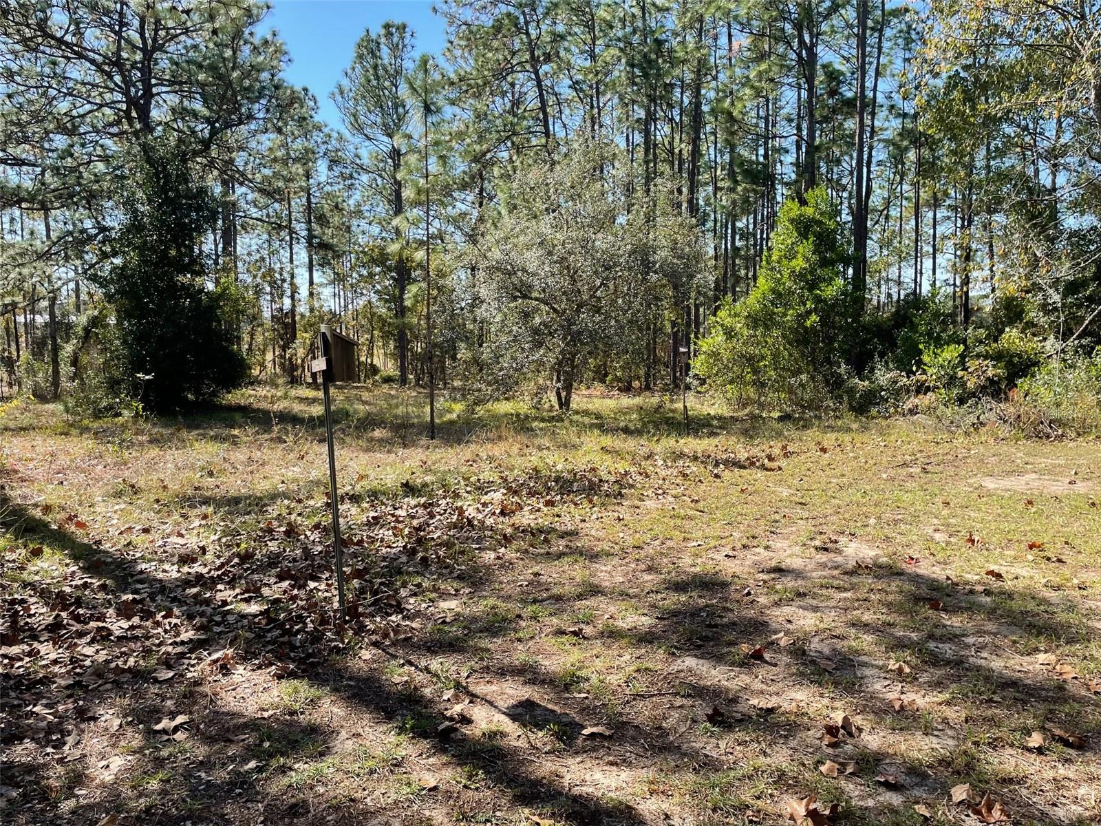 280 SW RIDGEWOOD RD, DUNNELLON, FL, 34431