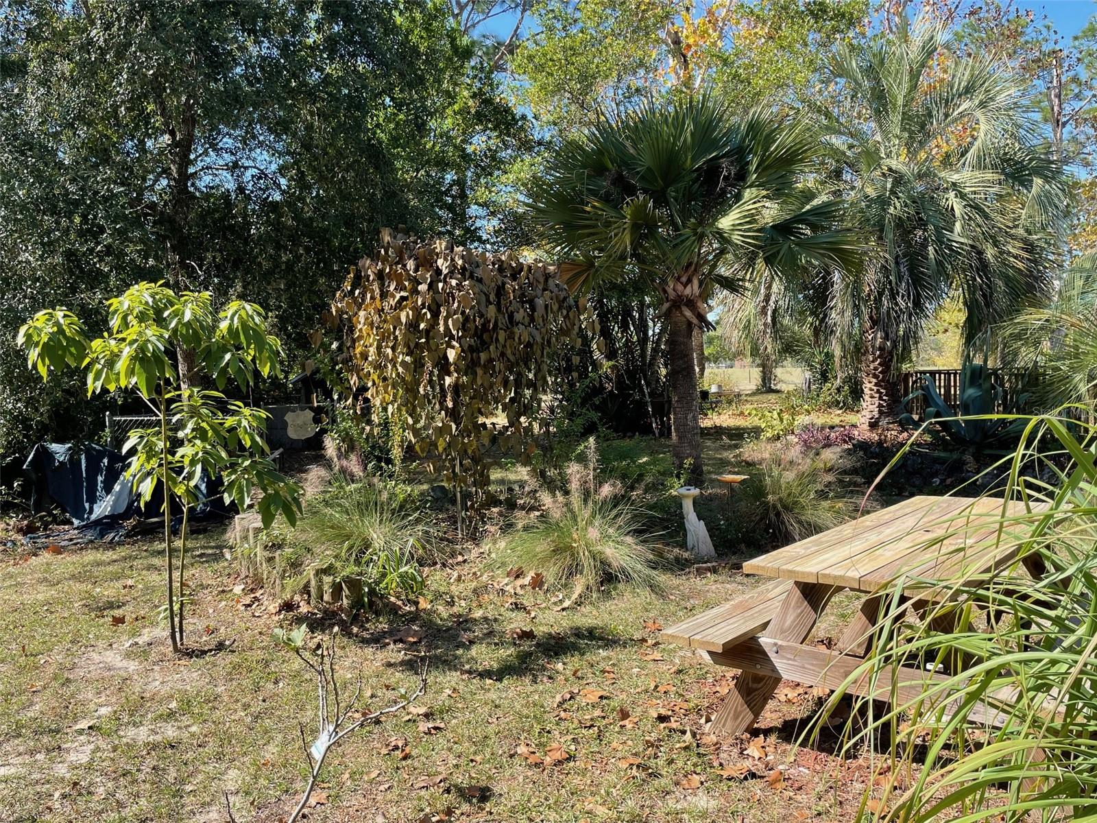 280 SW RIDGEWOOD RD, DUNNELLON, FL, 34431