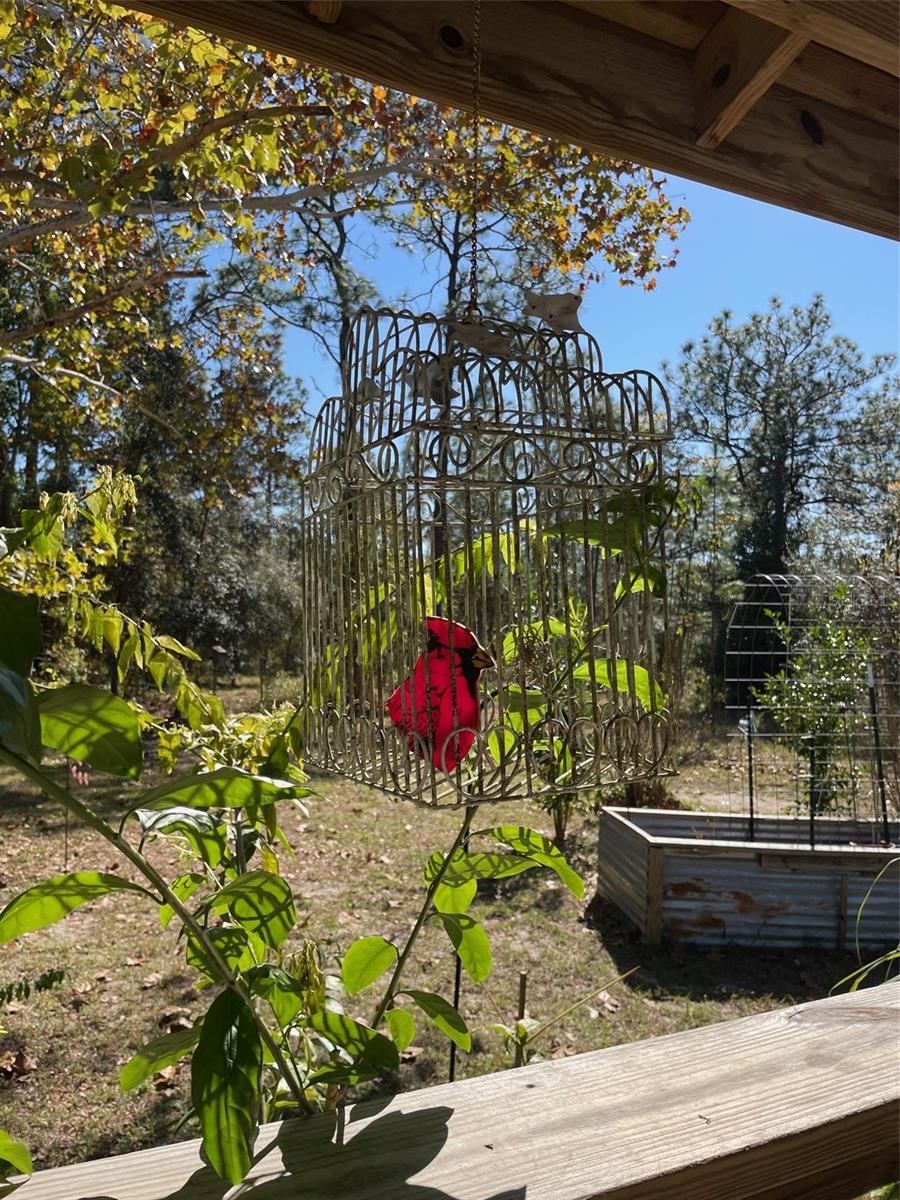 280 SW RIDGEWOOD RD, DUNNELLON, FL, 34431