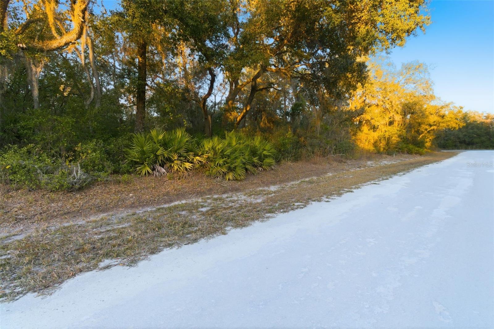 RIVERSTONE ST, WEBSTER, FL, 33597