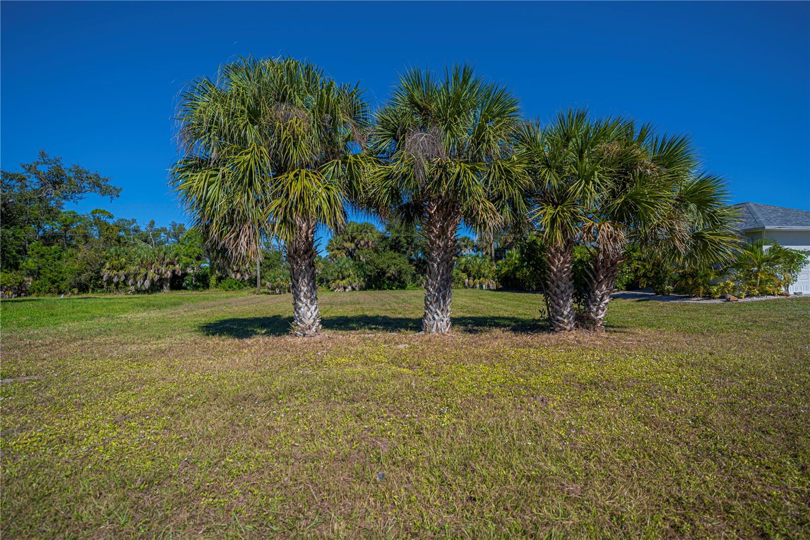 271 ANNAPOLIS LN, ROTONDA WEST, FL, 33947