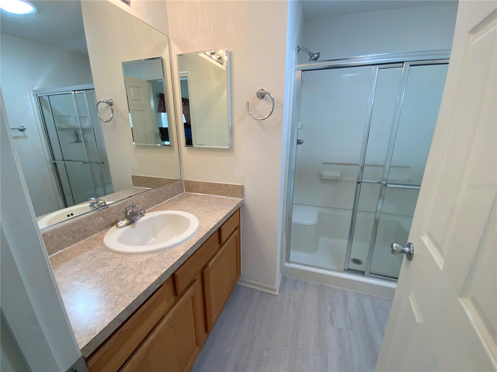 317 ROWESVILLE LN, THE VILLAGES, FL, 32162