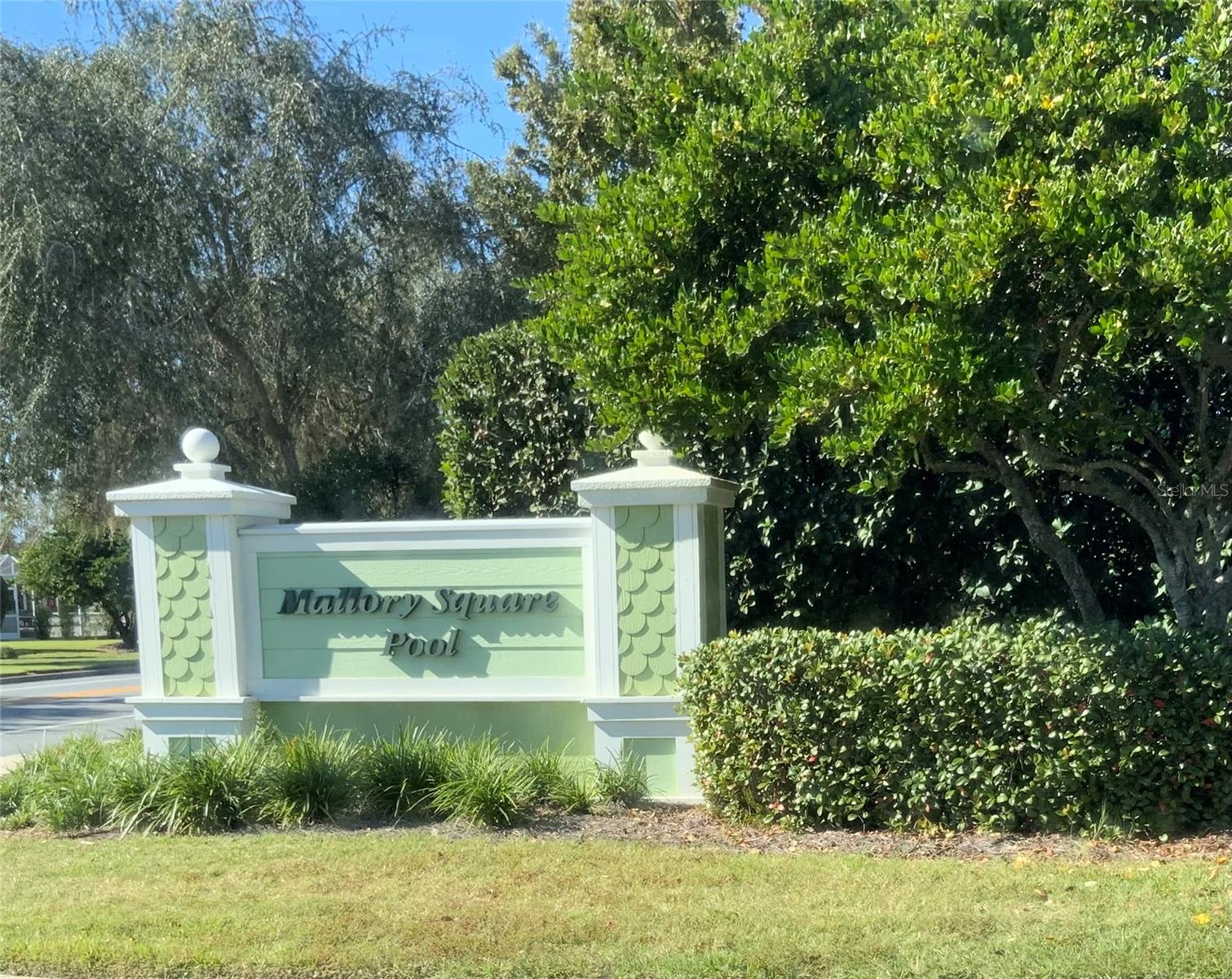 317 ROWESVILLE LN, THE VILLAGES, FL, 32162