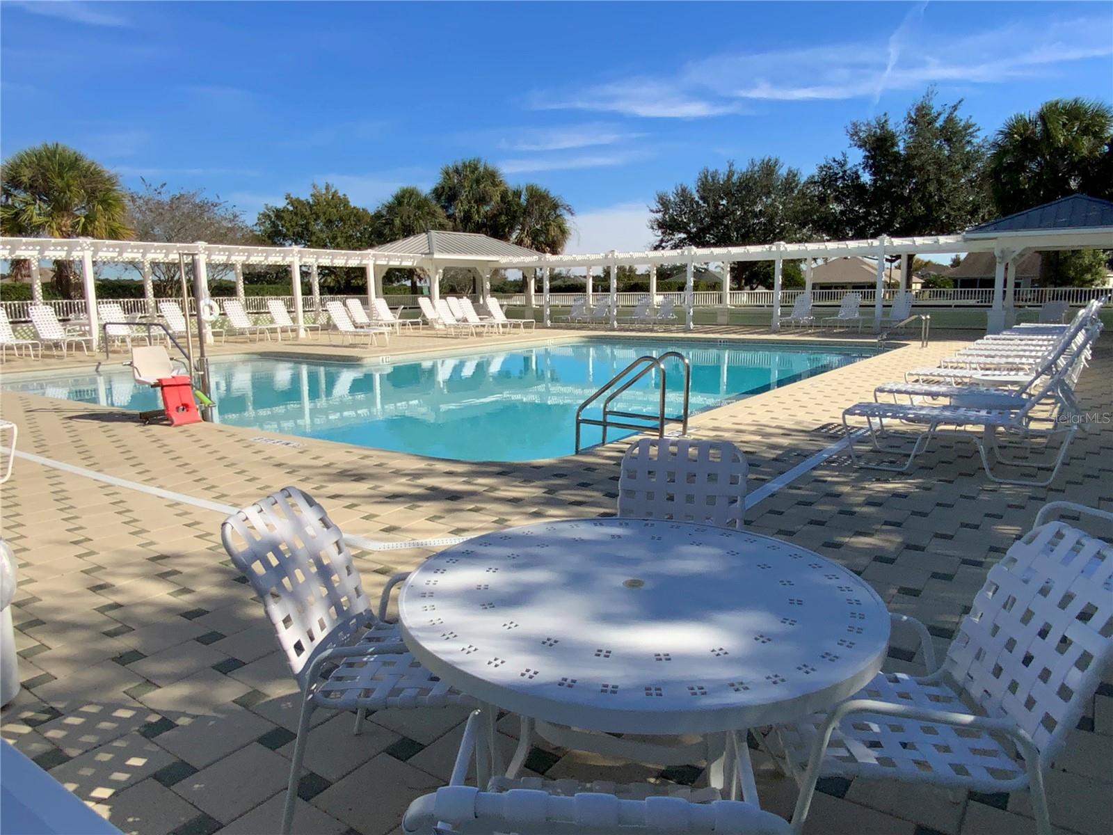 317 ROWESVILLE LN, THE VILLAGES, FL, 32162