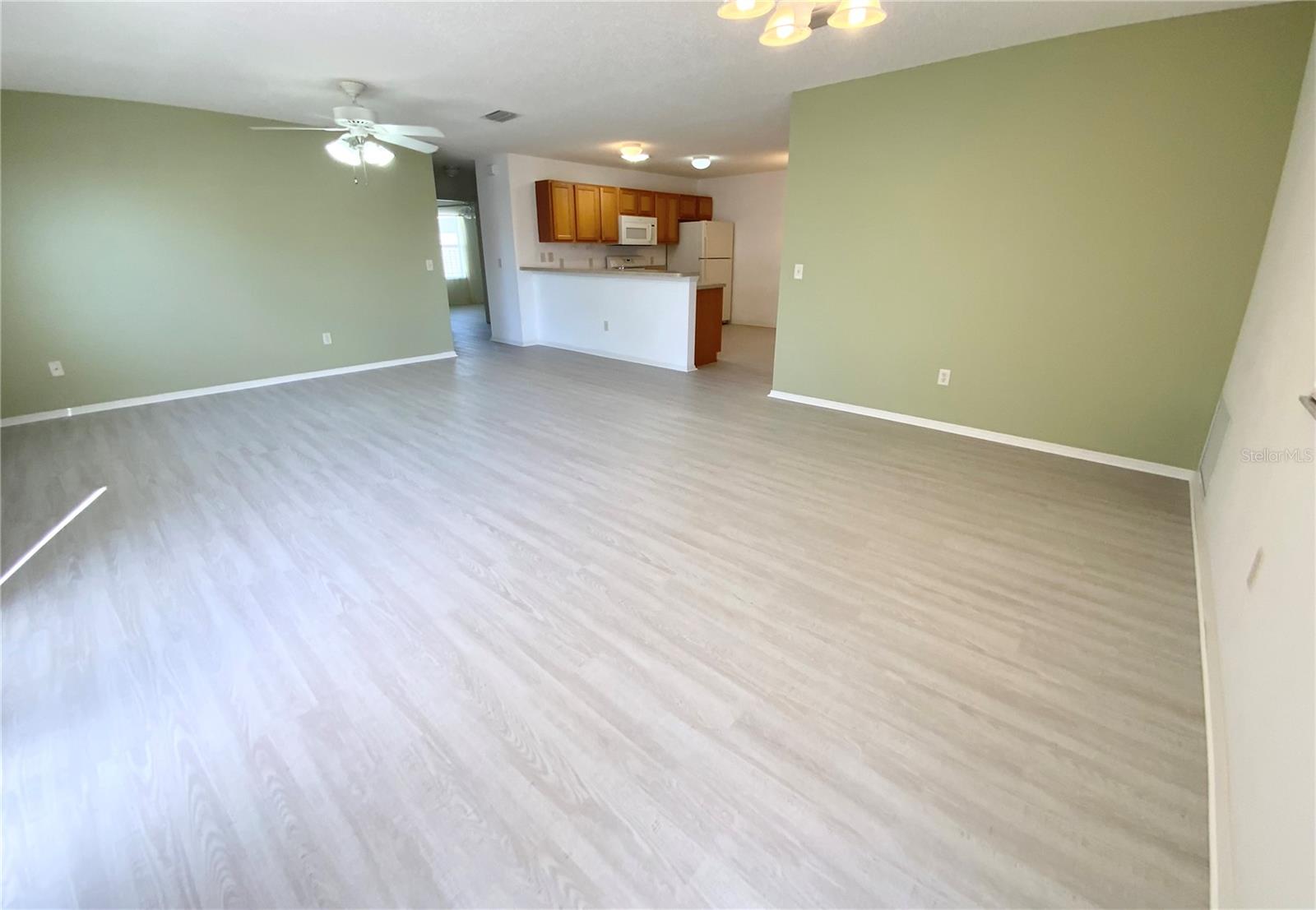 317 ROWESVILLE LN, THE VILLAGES, FL, 32162