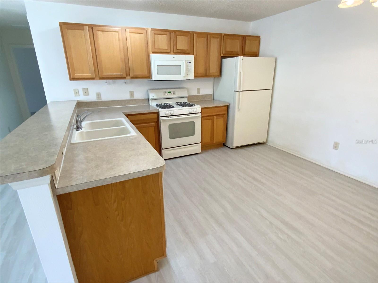 317 ROWESVILLE LN, THE VILLAGES, FL, 32162