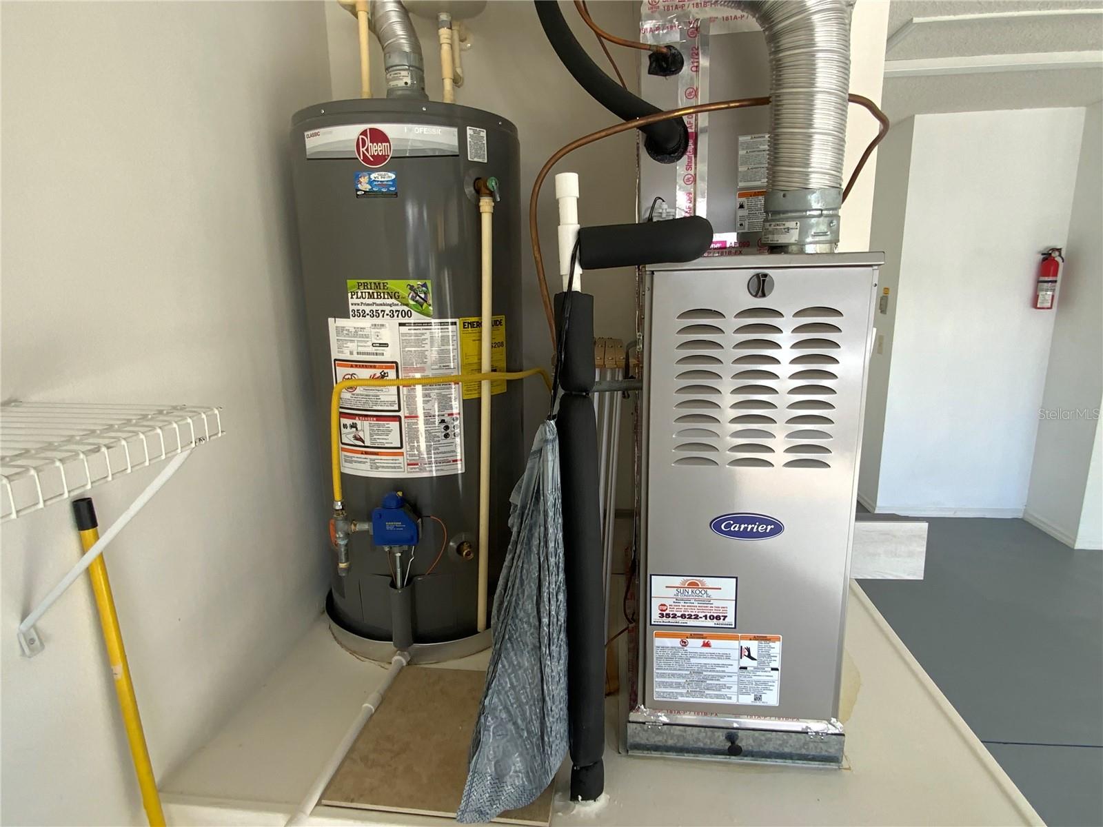 317 ROWESVILLE LN, THE VILLAGES, FL, 32162