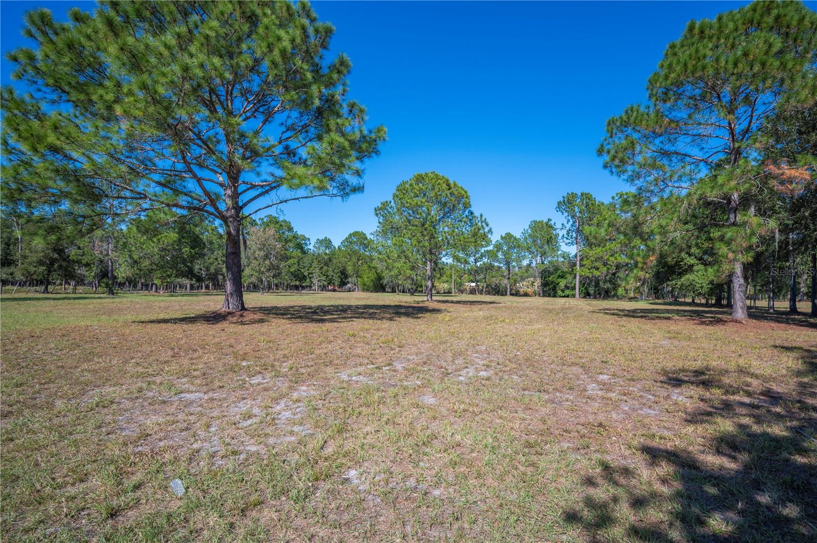 2525 RANCHLAND ACRES RD, LAKELAND, FL, 33809