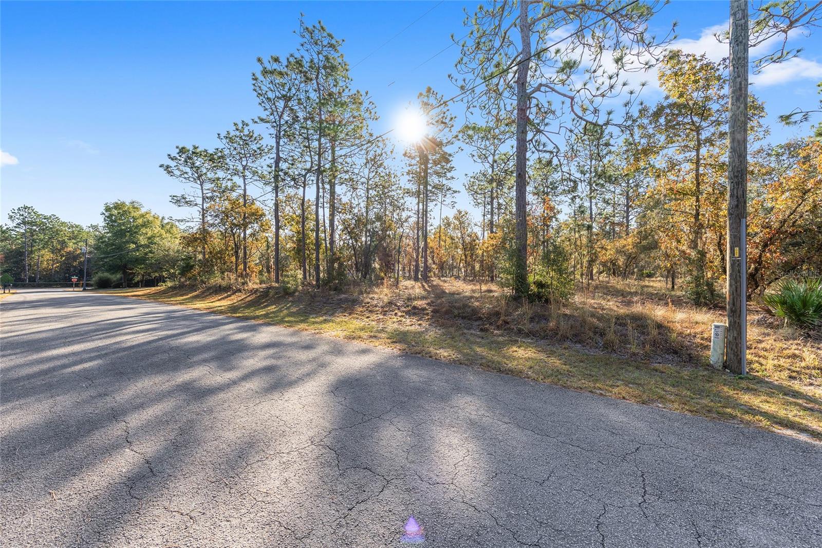 18498 SW 69TH LOOP, DUNNELLON, FL, 34432