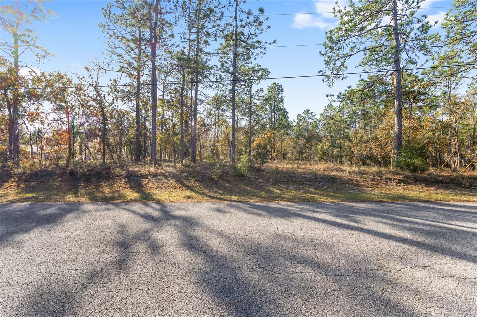 18498 SW 69TH LOOP, DUNNELLON, FL, 34432
