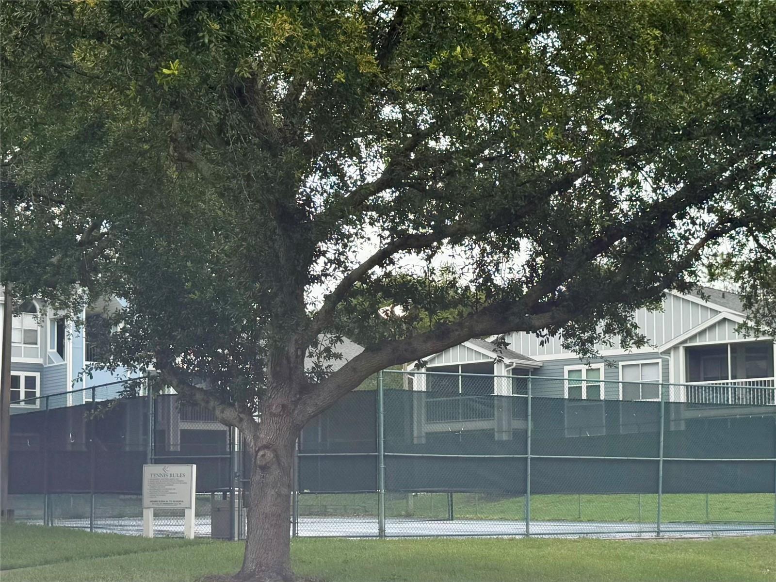 2521 GRASSY POINT DR #105, LAKE MARY, FL, 32746