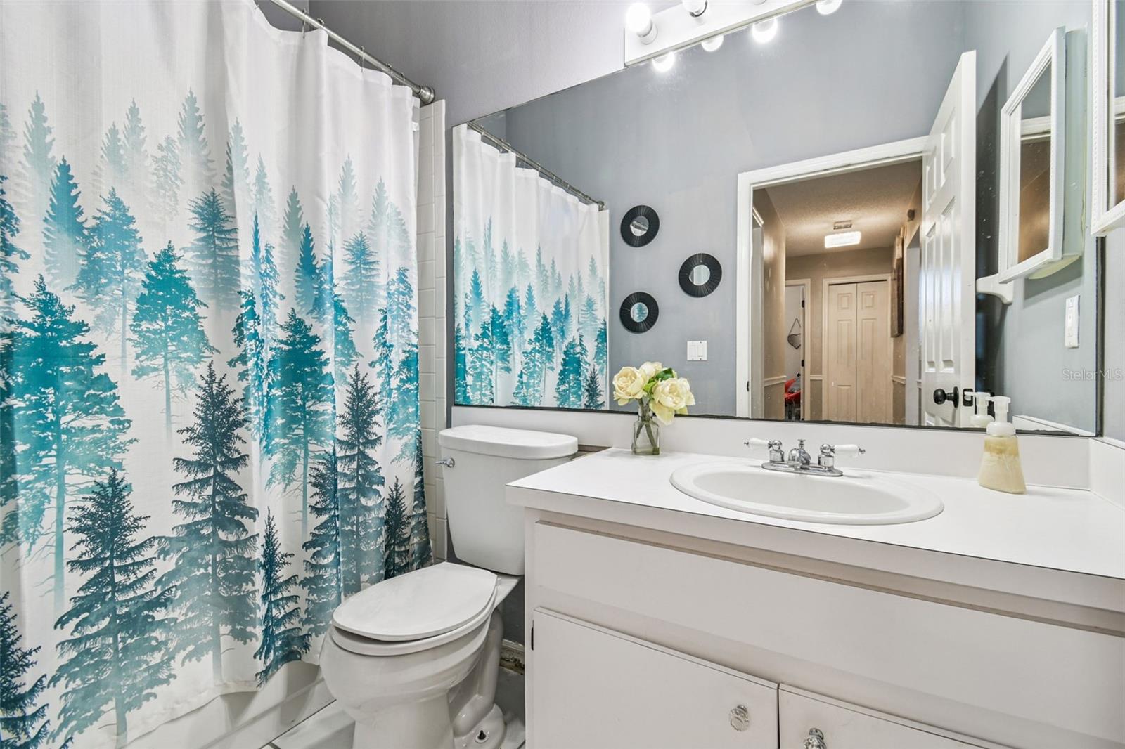 6906 MIRROR LAKE AVE, TAMPA, FL, 33634