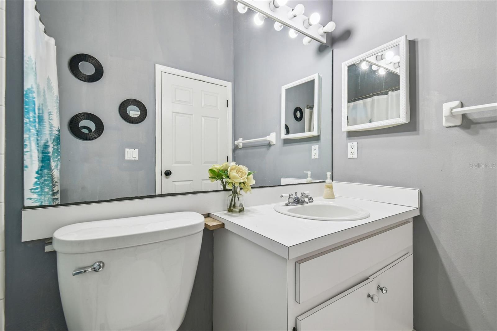 6906 MIRROR LAKE AVE, TAMPA, FL, 33634