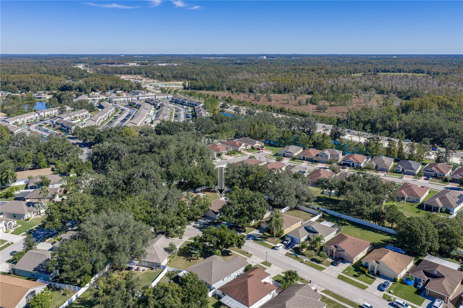 3007 CASTLE ROCK CIR, LAND O LAKES, FL, 34639