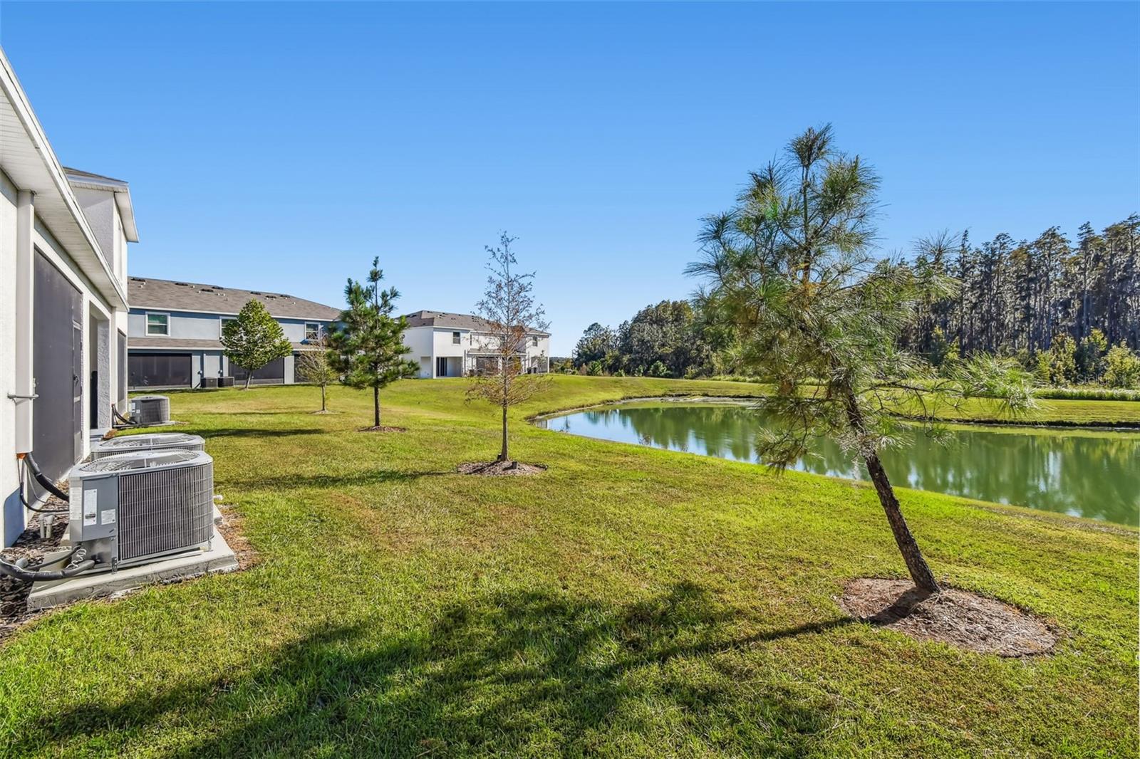 32173 TURTLE GRACE LOOP, WESLEY CHAPEL, FL, 33545