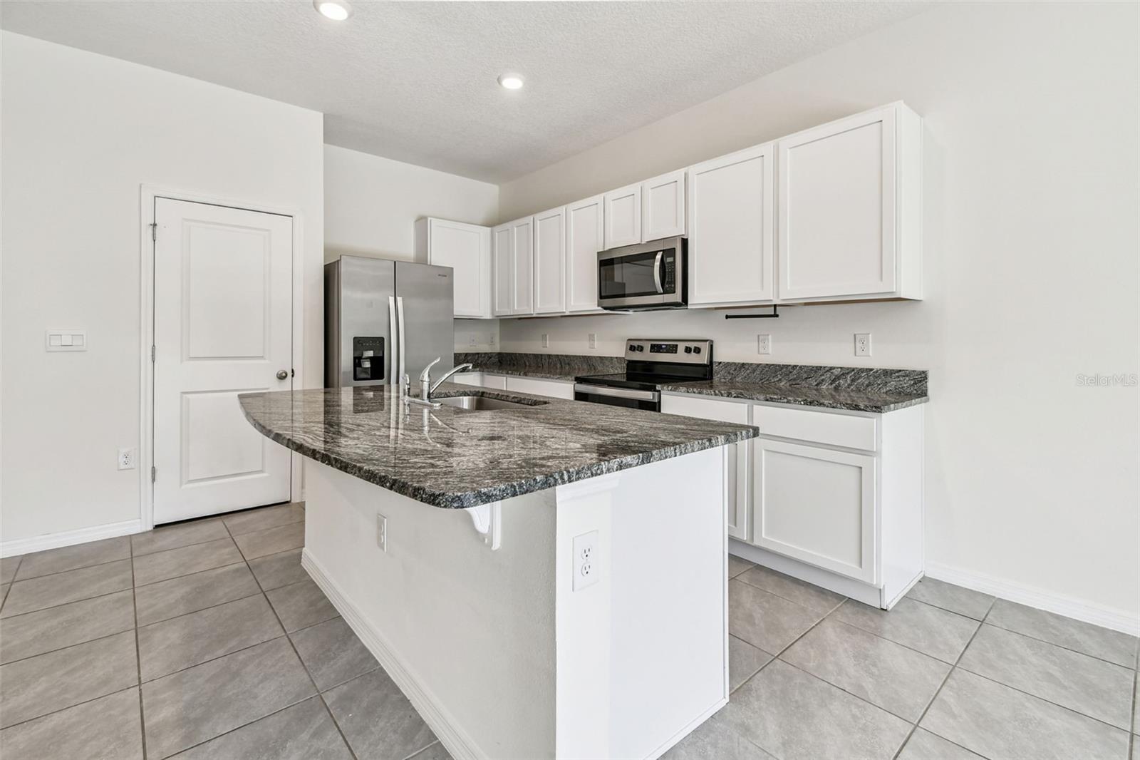 32173 TURTLE GRACE LOOP, WESLEY CHAPEL, FL, 33545