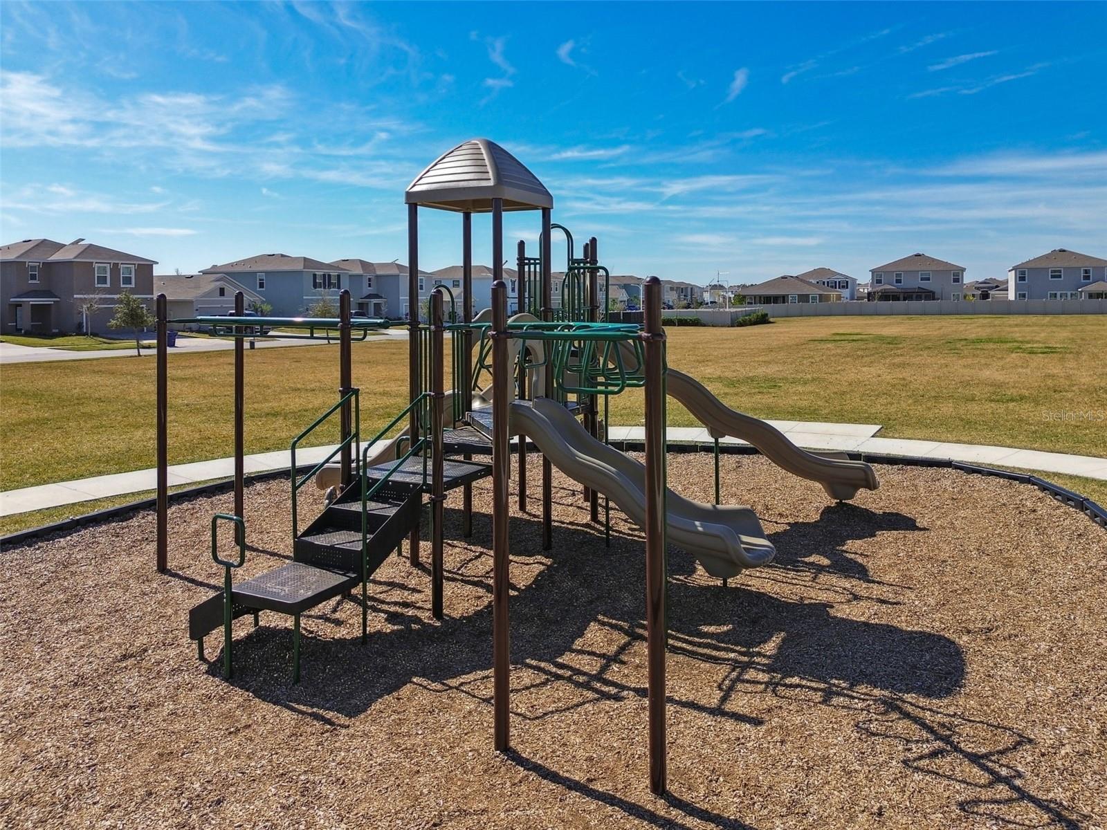 32173 TURTLE GRACE LOOP, WESLEY CHAPEL, FL, 33545