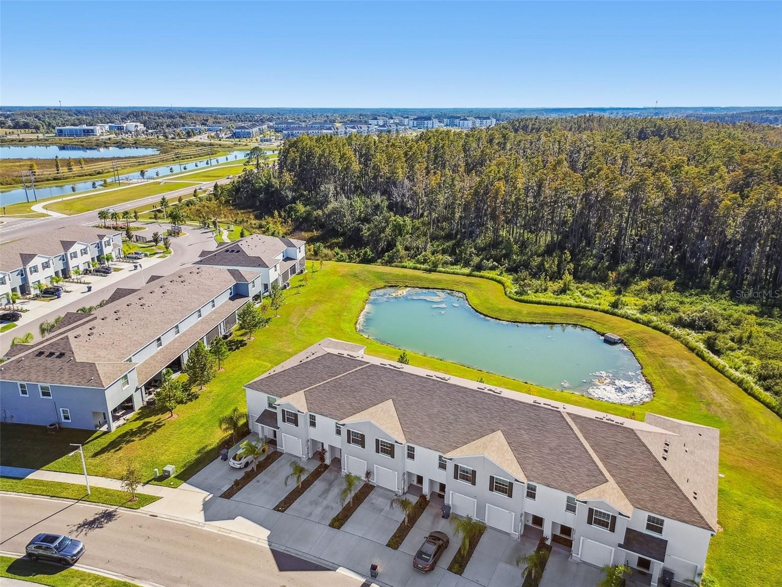 32173 TURTLE GRACE LOOP, WESLEY CHAPEL, FL, 33545