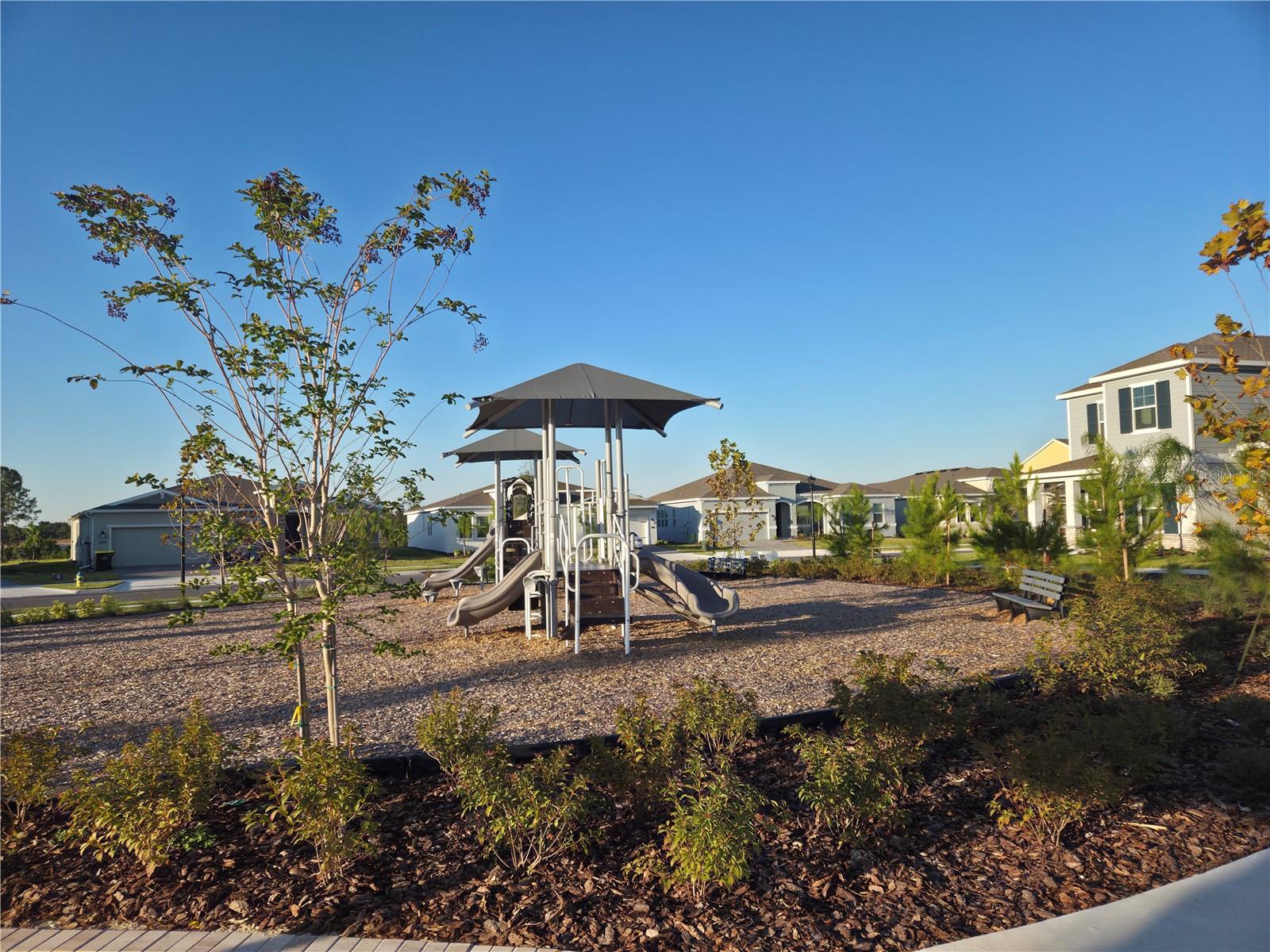 5653 LIVELINESS ALY RD, CLERMONT, FL, 34714