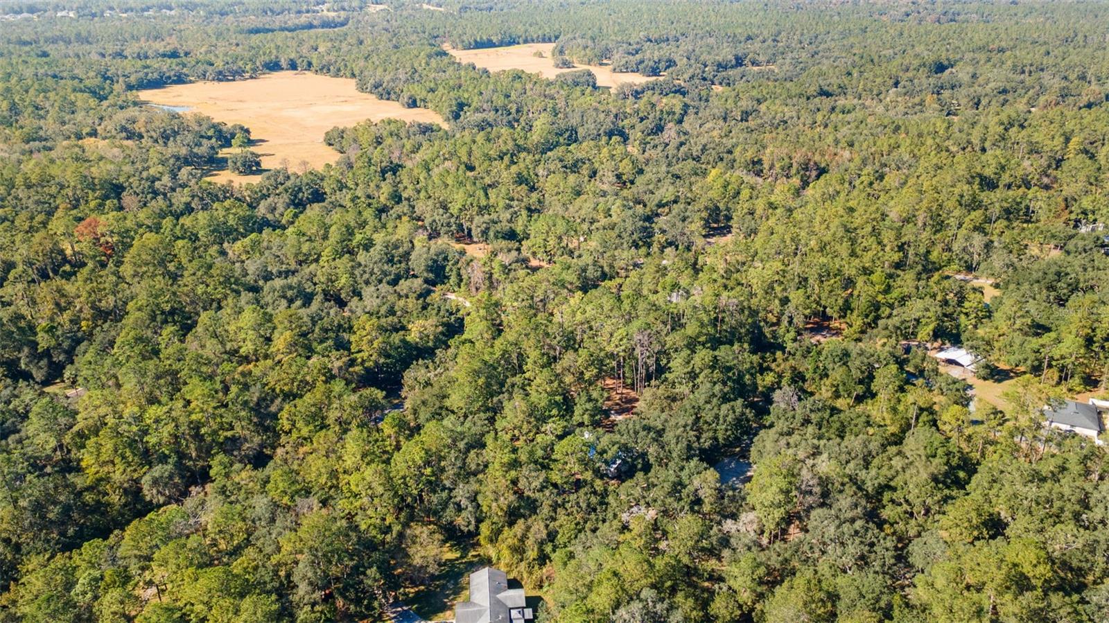 4292 CULBREATH RD, BROOKSVILLE, FL, 34601